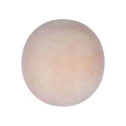 Natures Design - Natures Design Phoenix Çam Kapak