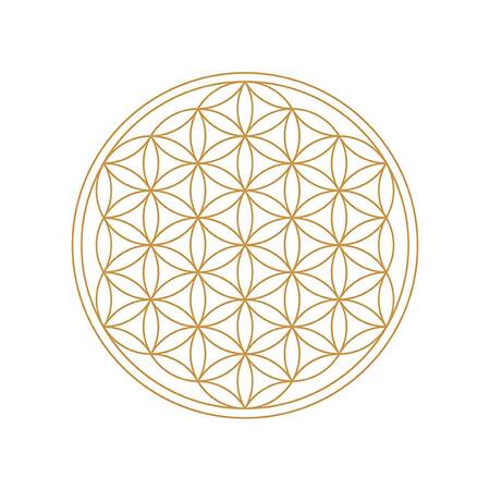 Universe Su Canlandırıcı Karaf 10 L